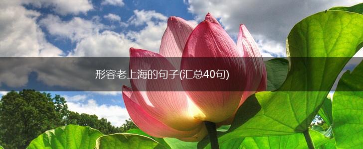 形容老上海的句子(汇总40句),第1张