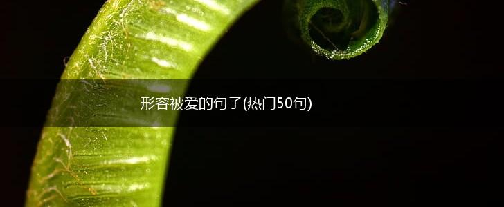 形容被爱的句子(热门50句),第1张