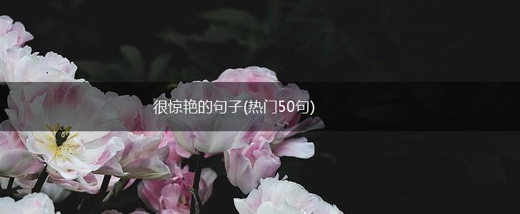 很惊艳的句子(热门50句),第1张