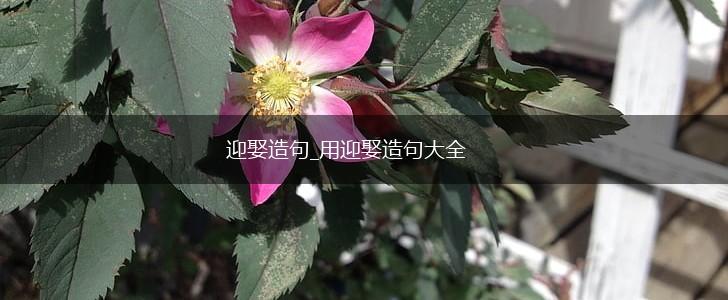 迎娶造句_用迎娶造句大全,第1张 迎娶造句_用迎娶造句大全,第1张
