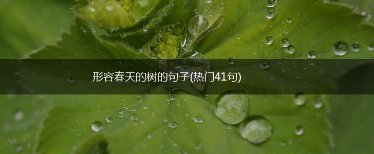 形容春天的树的句子(热门41句),第1张