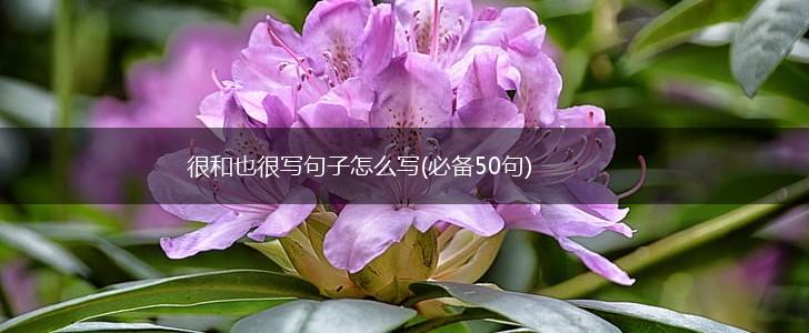 很和也很写句子怎么写(必备50句),第1张