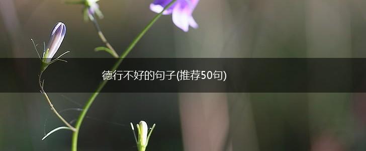 德行不好的句子(推荐50句),第1张