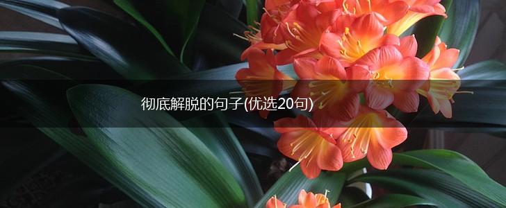 彻底解脱的句子(优选20句),第1张