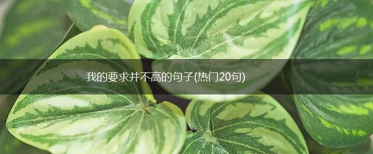 我的要求并不高的句子(热门20句),第1张
