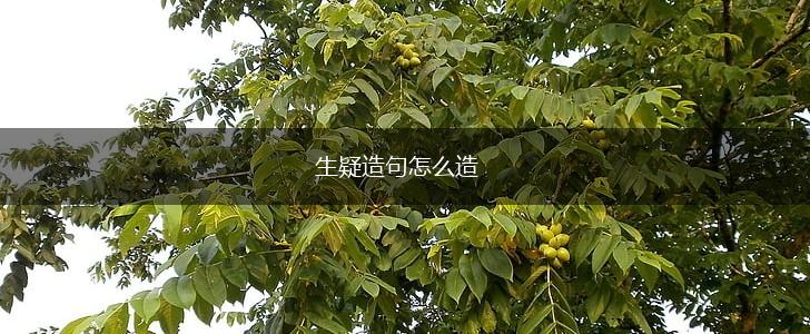 生疑造句怎么造,第1张