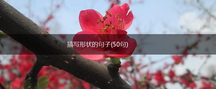 描写形状的句子(50句),第1张