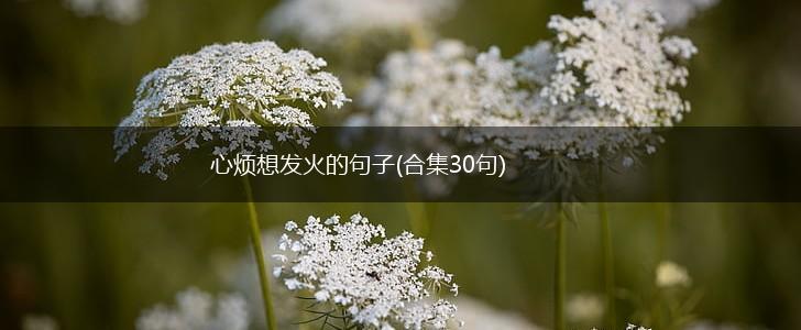 心烦想发火的句子(合集30句),第1张