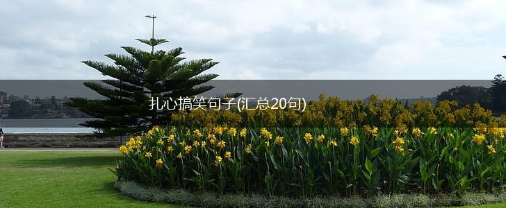 扎心搞笑句子(汇总20句),第1张