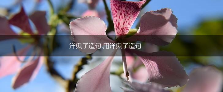 洋鬼子造句,用洋鬼子造句,第1张 洋鬼子造句,用洋鬼子造句,第1张