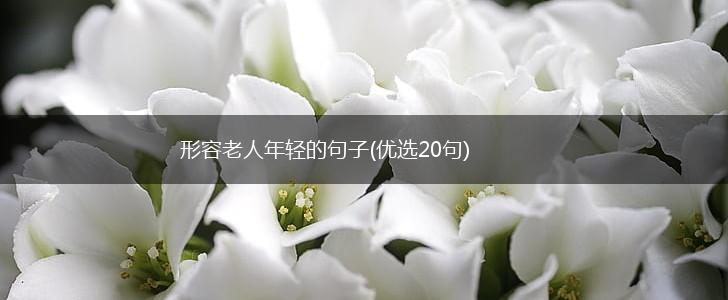 形容老人年轻的句子(优选20句),第1张