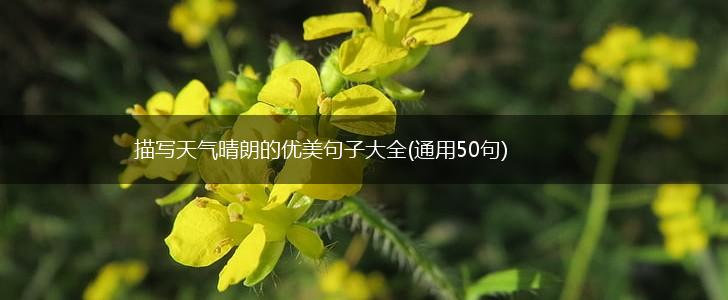 描写天气晴朗的优美句子大全(通用50句),第1张