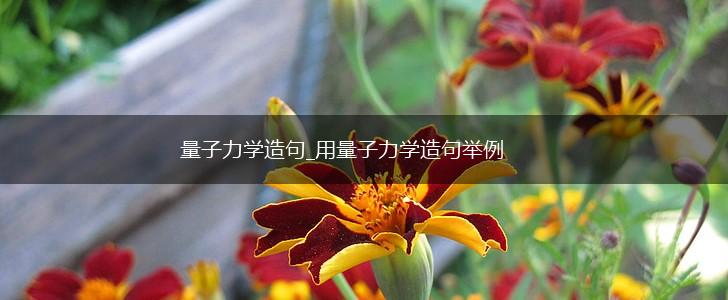 量子力学造句_用量子力学造句举例,第1张 量子力学造句_用量子力学造句举例,第1张