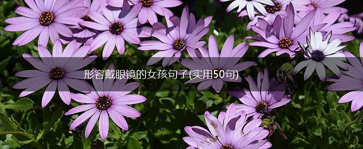 形容戴眼镜的女孩句子(实用50句),第1张