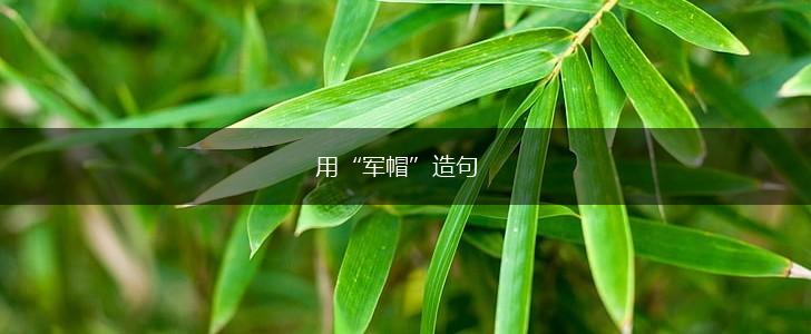 用“军帽”造句,第1张 用“军帽”造句,第1张