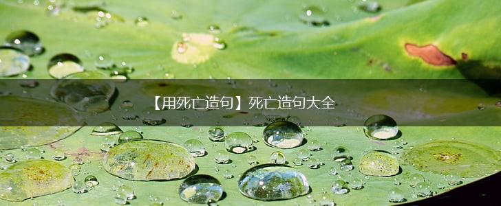 【用死亡造句】死亡造句大全,第1张 【用死亡造句】死亡造句大全,第1张