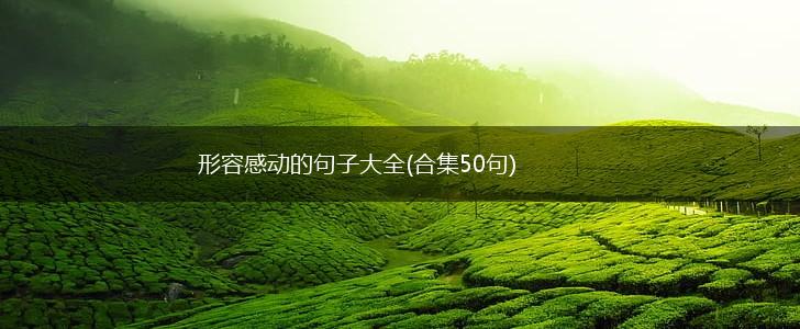 形容感动的句子大全(合集50句),第1张
