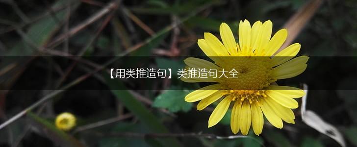 【用类推造句】类推造句大全,第1张 【用类推造句】类推造句大全,第1张