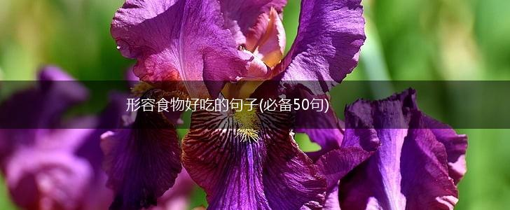 形容食物好吃的句子(必备50句),第1张