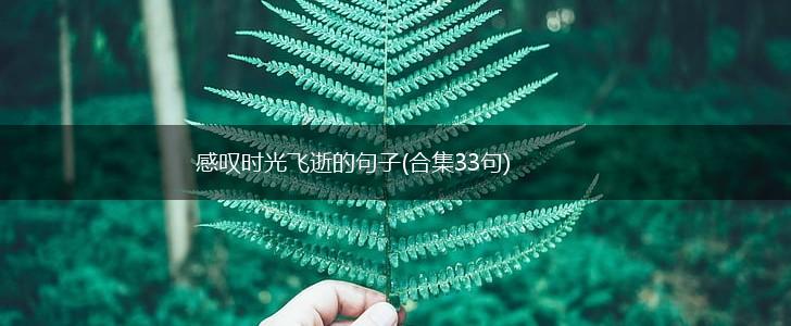 感叹时光飞逝的句子(合集33句),第1张