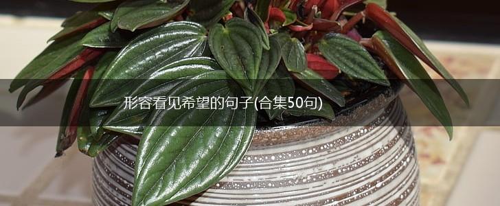 形容看见希望的句子(合集50句),第1张