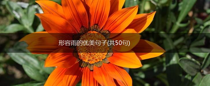 形容雨的优美句子(共50句),第1张