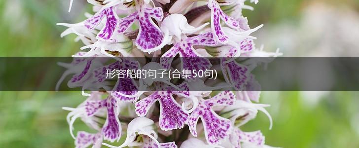 形容船的句子(合集50句),第1张