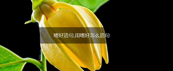 嗜好造句,用嗜好怎么造句,第1张 嗜好造句,用嗜好怎么造句,第1张