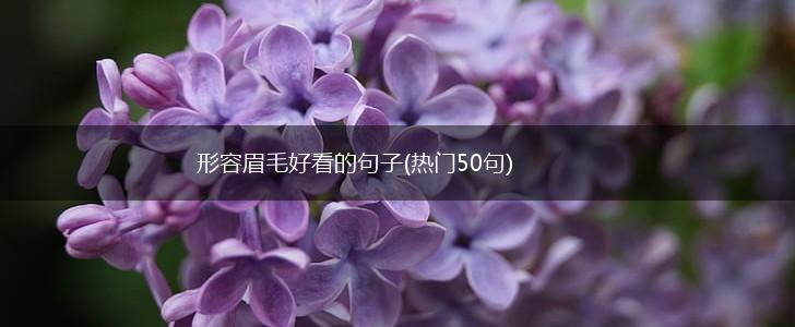 形容眉毛好看的句子(热门50句),第1张