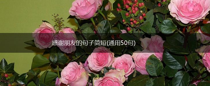 感谢朋友的句子简短(通用50句),第1张