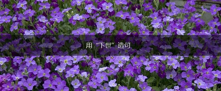 用“下世”造句,第1张 用“下世”造句,第1张