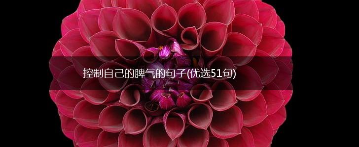 控制自己的脾气的句子(优选51句),第1张