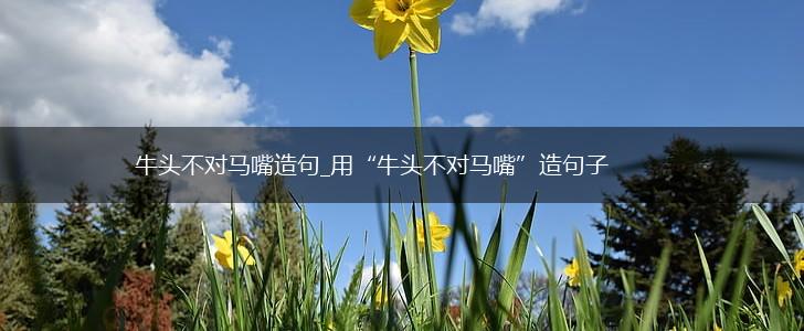 牛头不对马嘴造句_用“牛头不对马嘴”造句子,第1张