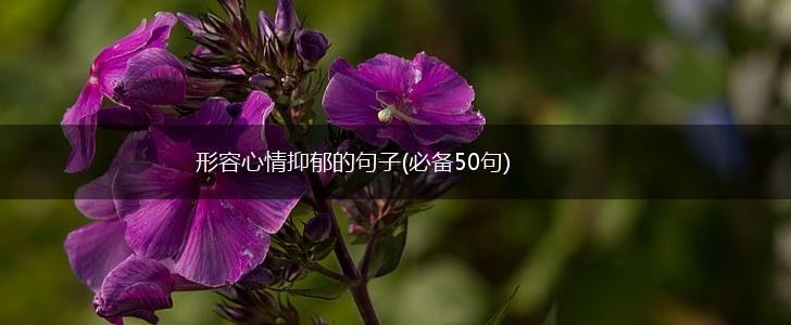形容心情抑郁的句子(必备50句),第1张