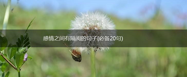 感情之间有隔阂的句子(必备20句),第1张