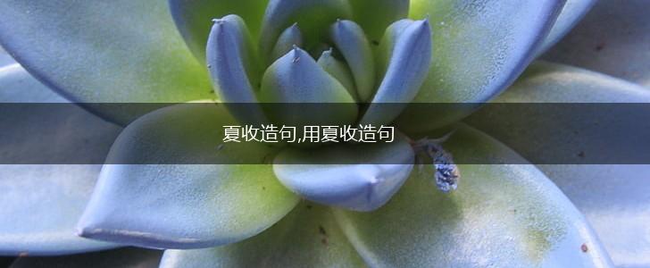 夏收造句,用夏收造句,第1张 夏收造句,用夏收造句,第1张