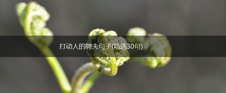 打动人的聘夫句子(精选30句),第1张