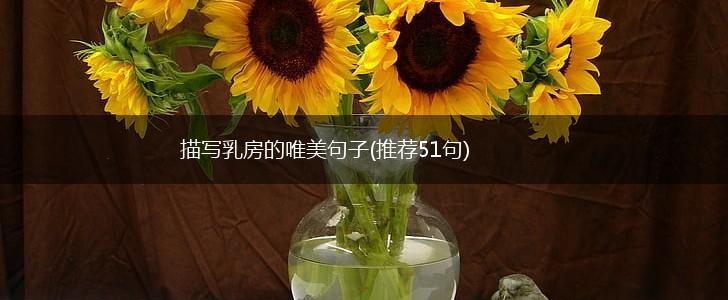 描写乳房的唯美句子(推荐51句),第1张