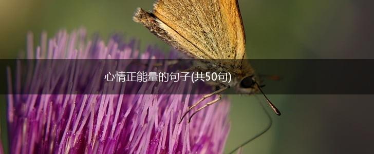 心情正能量的句子(共50句),第1张