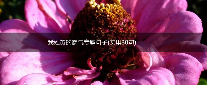 我姓黄的霸气专属句子(实用30句),第1张