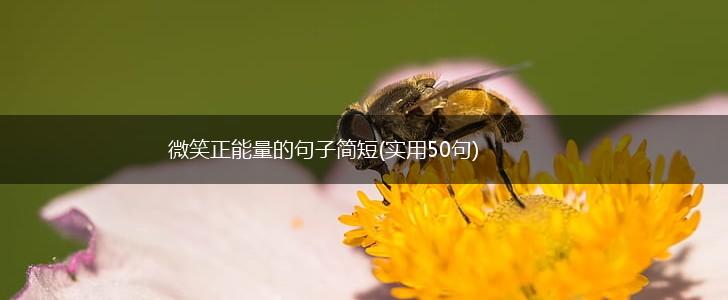 微笑正能量的句子简短(实用50句),第1张