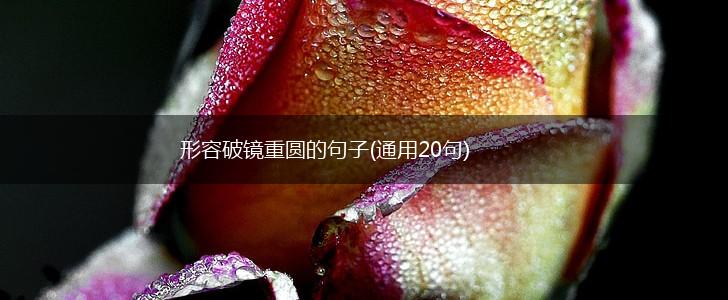 形容破镜重圆的句子(通用20句),第1张