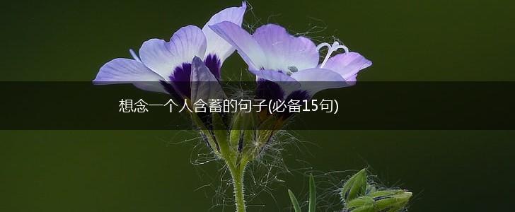 想念一个人含蓄的句子(必备15句),第1张