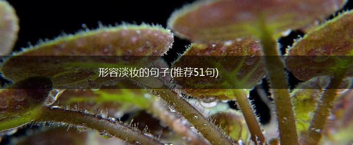 形容淡妆的句子(推荐51句),第1张