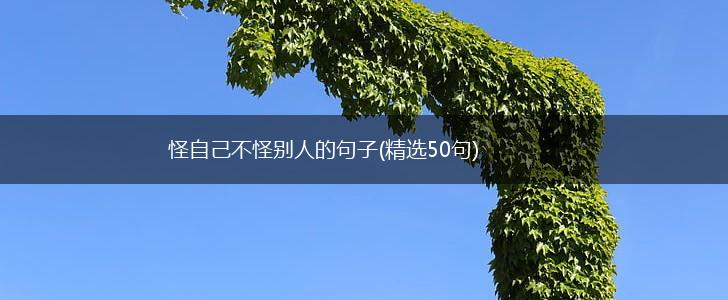 怪自己不怪别人的句子(精选50句),第1张
