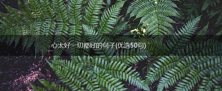 心太好一切都好的句子(优选50句),第1张