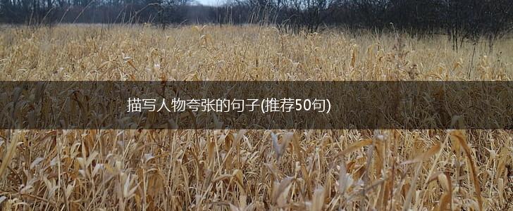 描写人物夸张的句子(推荐50句),第1张