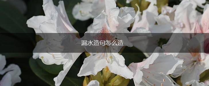 漏水造句怎么造,第1张 漏水造句怎么造,第1张
