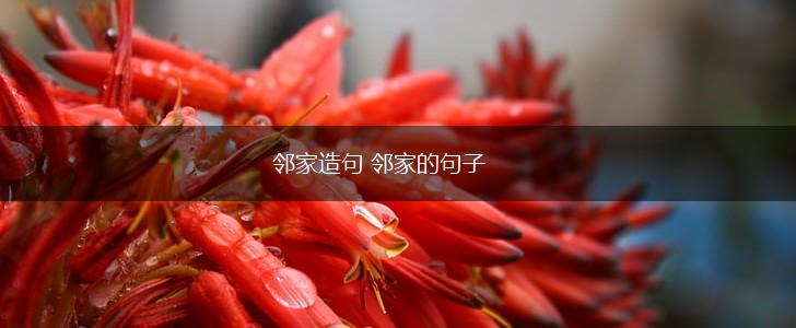 邻家造句 邻家的句子,第1张 邻家造句 邻家的句子,第1张