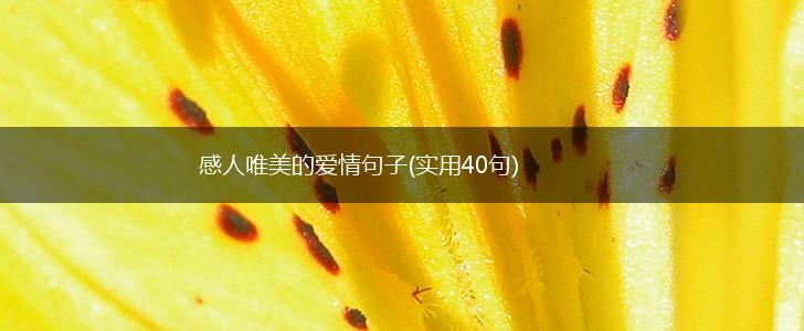 感人唯美的爱情句子(实用40句),第1张
